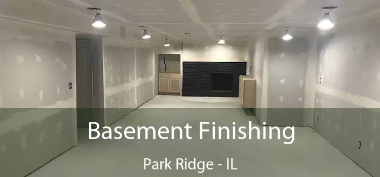 Basement Finishing Park Ridge - IL
