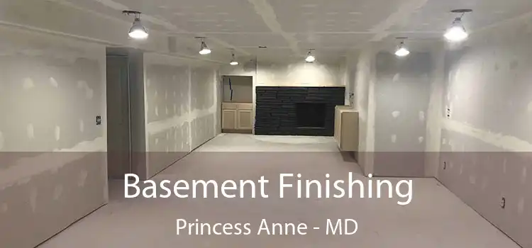 Basement Finishing Princess Anne - MD