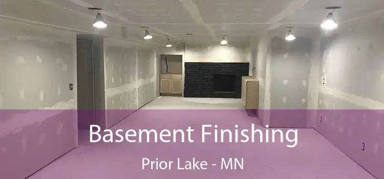  Basement Finishing Prior Lake - MN