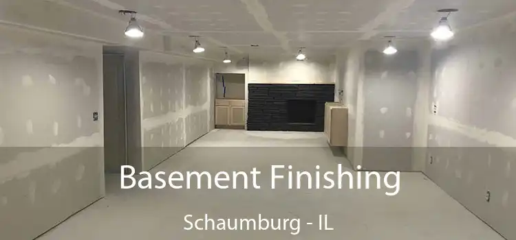 Basement Finishing Schaumburg - IL