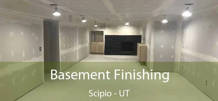 Basement Finishing Scipio - UT