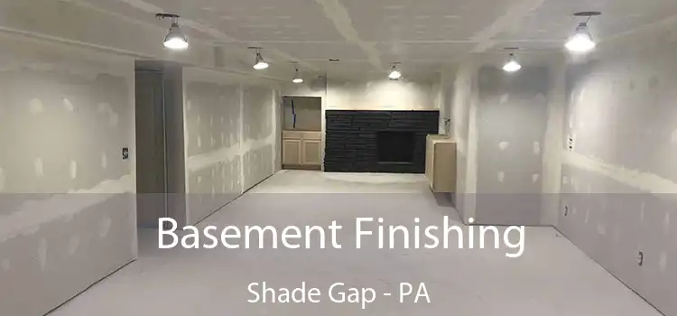 Basement Finishing Shade Gap - PA