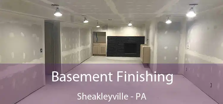 Basement Finishing Sheakleyville - PA