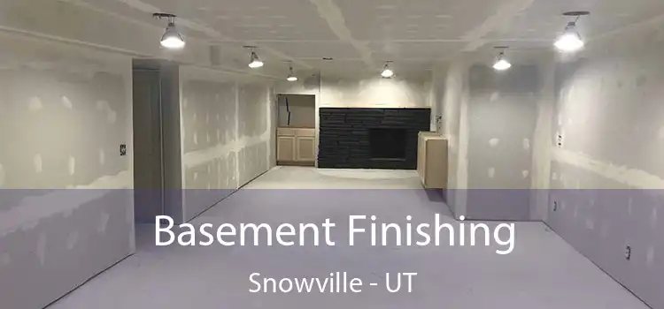 Basement Finishing Snowville - UT