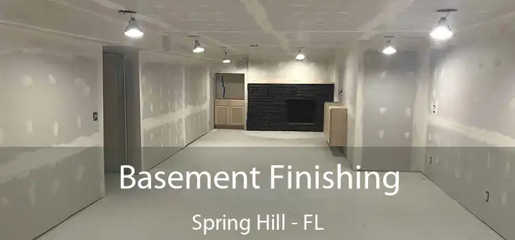  Basement Finishing Spring Hill - FL