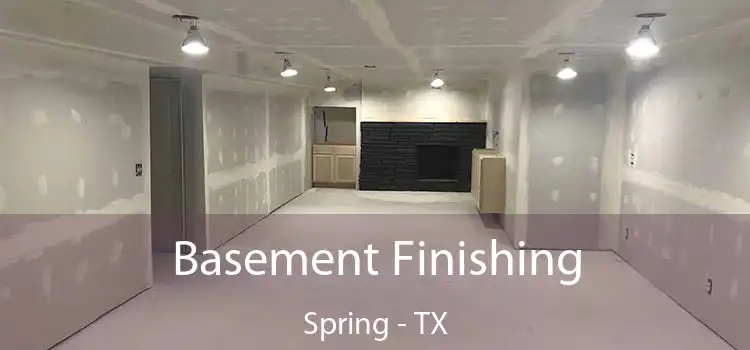  Basement Finishing Spring - TX