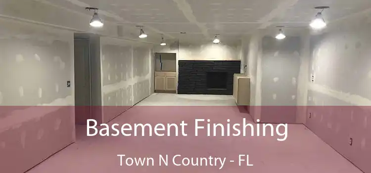  Basement Finishing Town N Country - FL