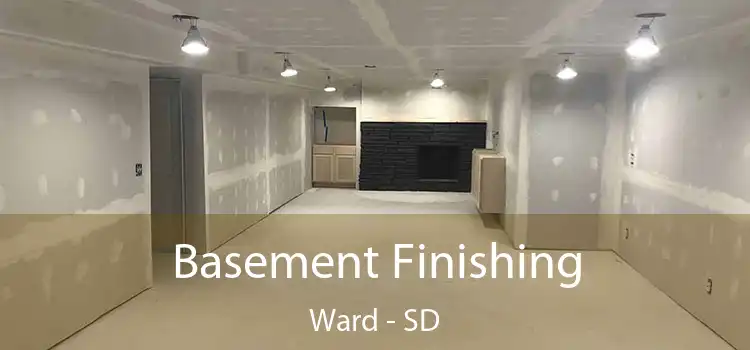 Basement Finishing Ward - SD