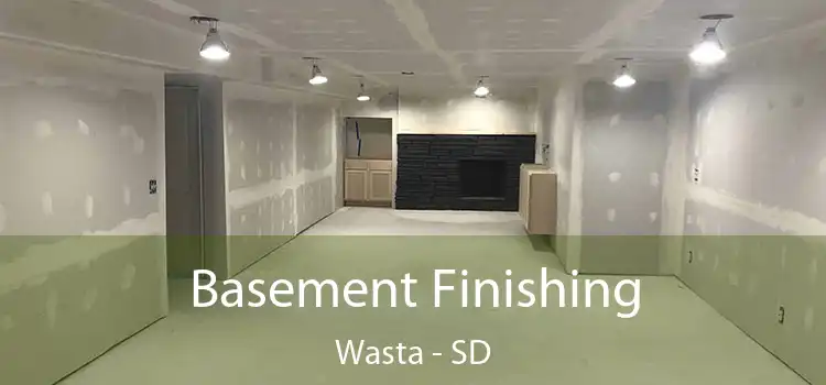 Basement Finishing Wasta - SD