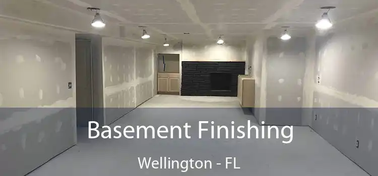 Basement Finishing Wellington - FL