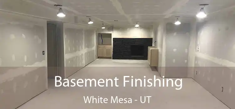 Basement Finishing White Mesa - UT