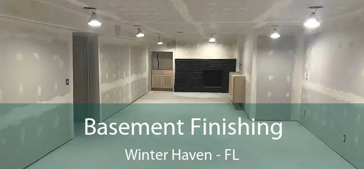 Basement Finishing Winter Haven - FL