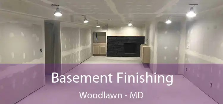 Basement Finishing Woodlawn - MD