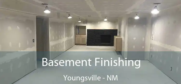 Basement Finishing Youngsville - NM