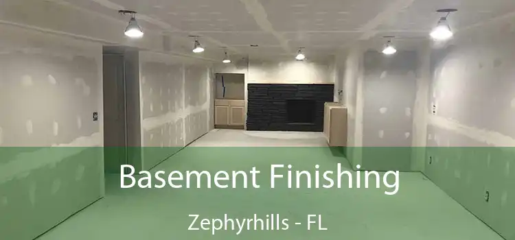  Basement Finishing Zephyrhills - FL