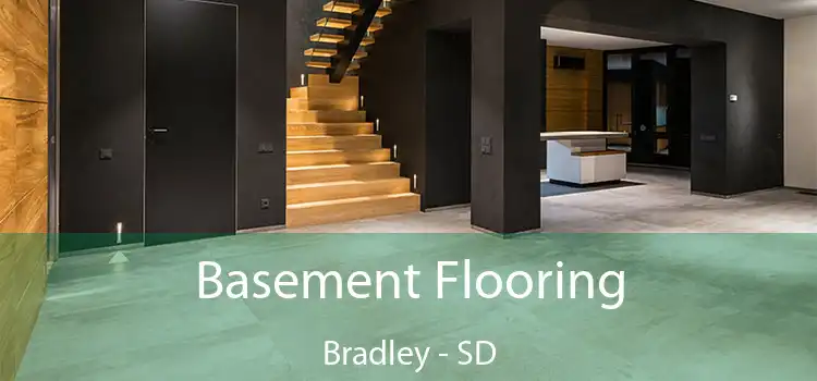 Basement Flooring Bradley - SD
