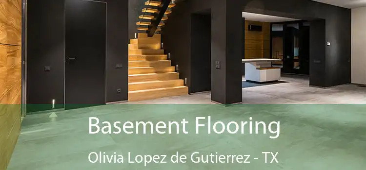 Basement Flooring Olivia Lopez de Gutierrez - TX