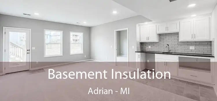  Basement Insulation Adrian - MI
