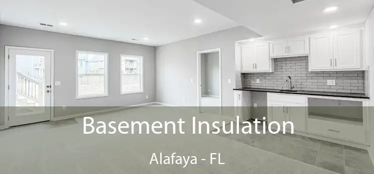 Basement Insulation Alafaya - FL