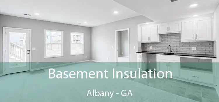  Basement Insulation Albany - GA