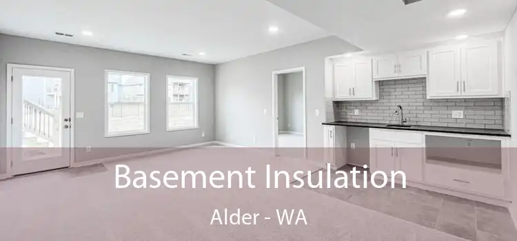 Basement Insulation Alder - WA