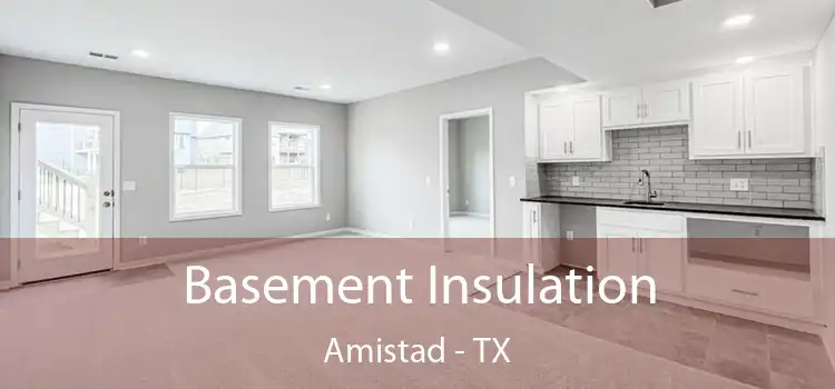 Basement Insulation Amistad - TX