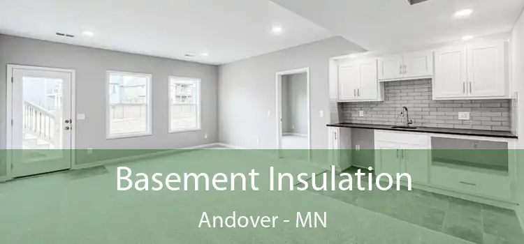  Basement Insulation Andover - MN