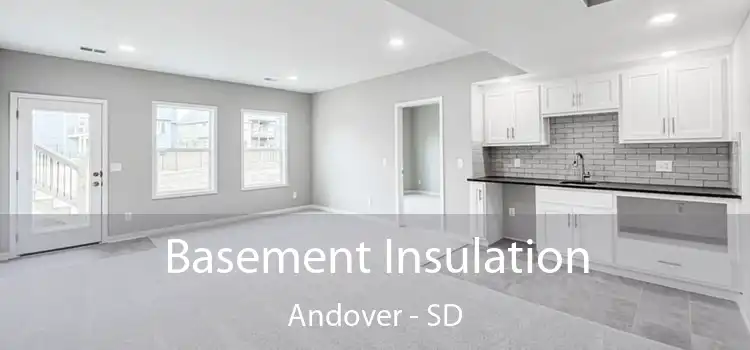 Basement Insulation Andover - SD