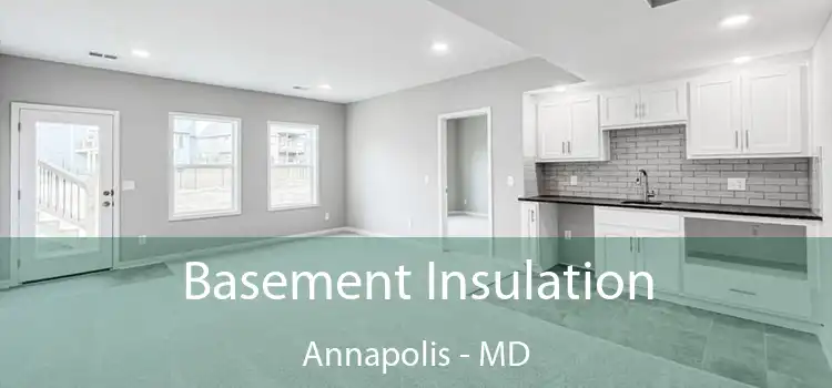 Basement Insulation Annapolis - MD