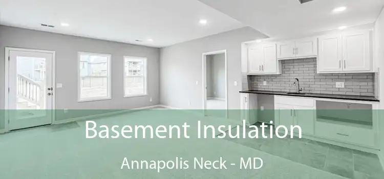 Basement Insulation Annapolis Neck - MD