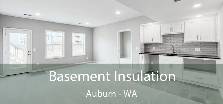 Basement Insulation Auburn - WA