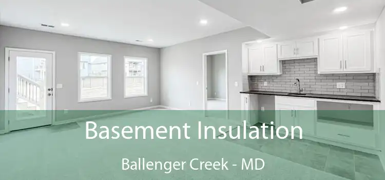 Basement Insulation Ballenger Creek - MD
