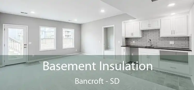 Basement Insulation Bancroft - SD