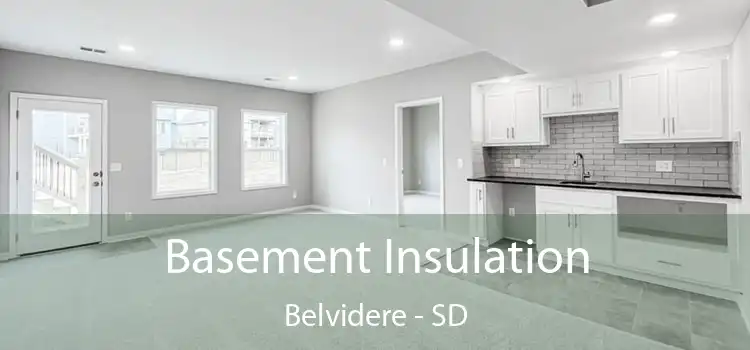 Basement Insulation Belvidere - SD