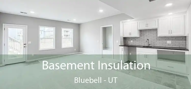 Basement Insulation Bluebell - UT