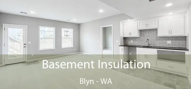 Basement Insulation Blyn - WA