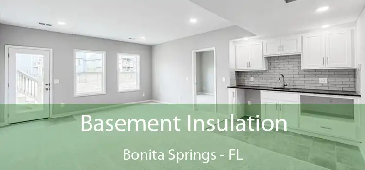 Basement Insulation Bonita Springs - FL