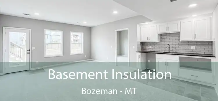 Basement Insulation Bozeman - MT