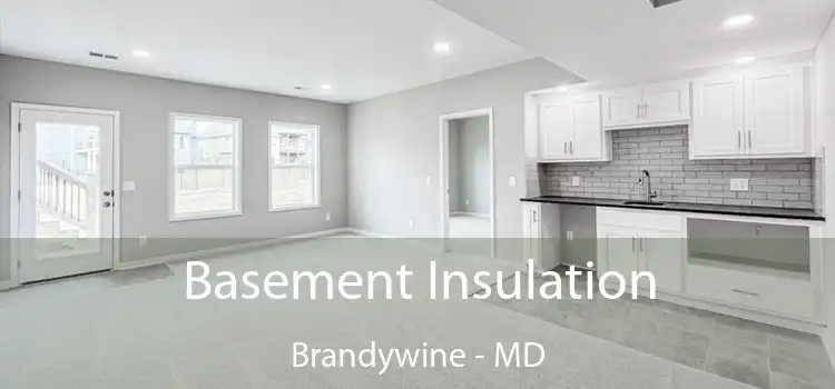 Basement Insulation Brandywine - MD