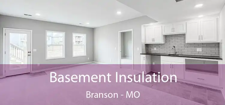 Basement Insulation Branson - MO