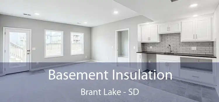 Basement Insulation Brant Lake - SD