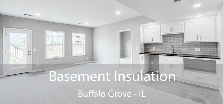 Basement Insulation Buffalo Grove - IL