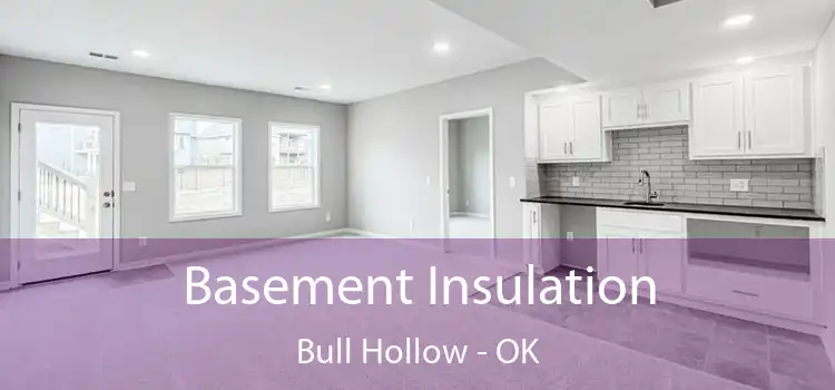 Basement Insulation Bull Hollow - OK