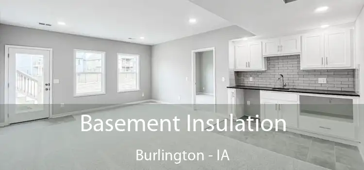 Basement Insulation Burlington - IA