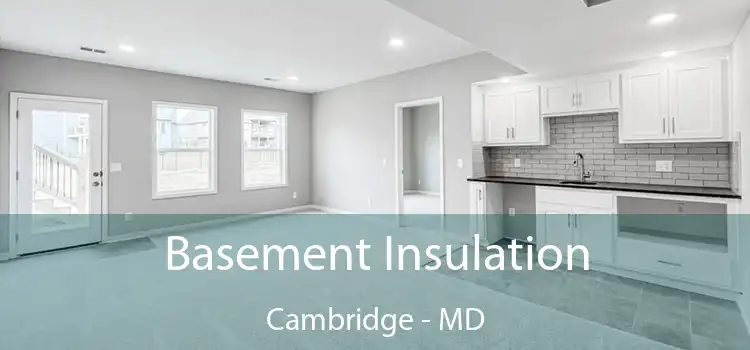 Basement Insulation Cambridge - MD