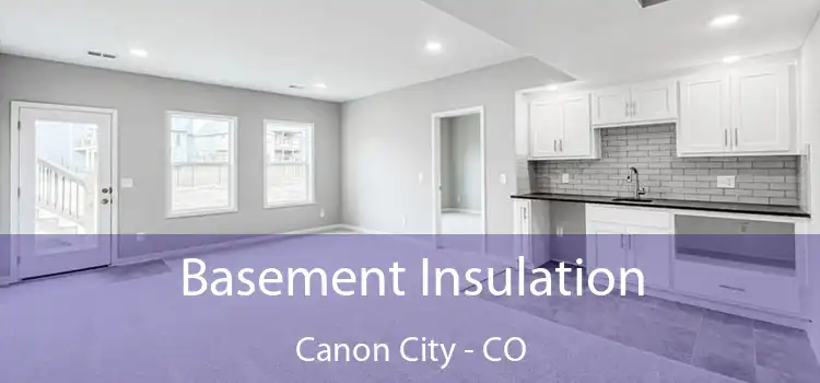  Basement Insulation Canon City - CO