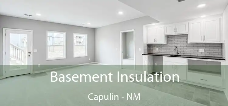 Basement Insulation Capulin - NM