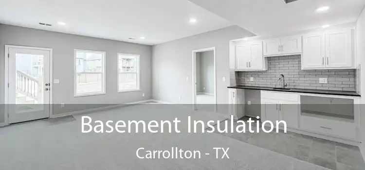 Basement Insulation Carrollton - TX