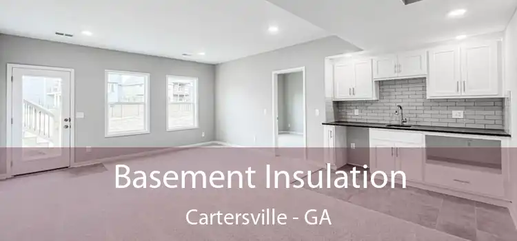 Basement Insulation Cartersville - GA