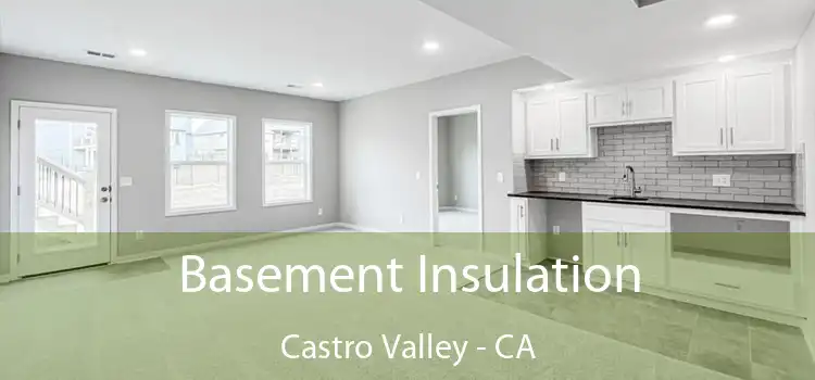  Basement Insulation Castro Valley - CA
